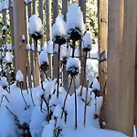 아파트 Gemuetliche Waldrandlage In Sehringen 바덴바일러