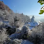 公寓 Gemuetliche Waldrandlage In Sehringen 巴登韦勒