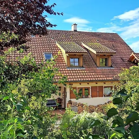 Appartement Gemuetliche Waldrandlage In Sehringen *