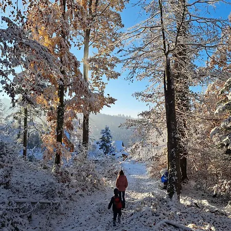 Gemuetliche Waldrandlage In Sehringen Μπάντενβαϊλερ