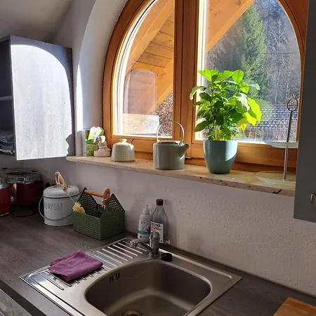 Appartement Gemuetliche Waldrandlage In Sehringen Badenweiler